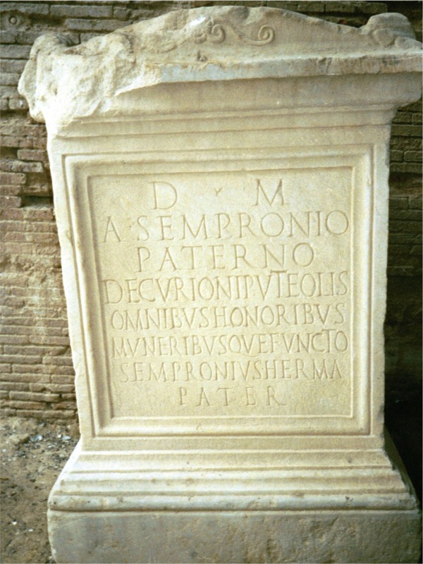 it pozz 76543_17.jpg